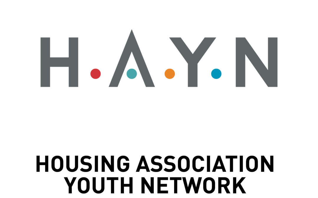HAYN network  meeting